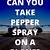 are you allowed to bring pepper spray on a plane