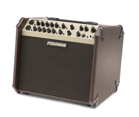 Are Acoustic And Electric Guitar Amps The Same