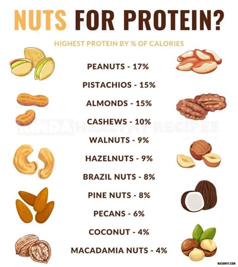 Are All Nuts A Source Of Protein