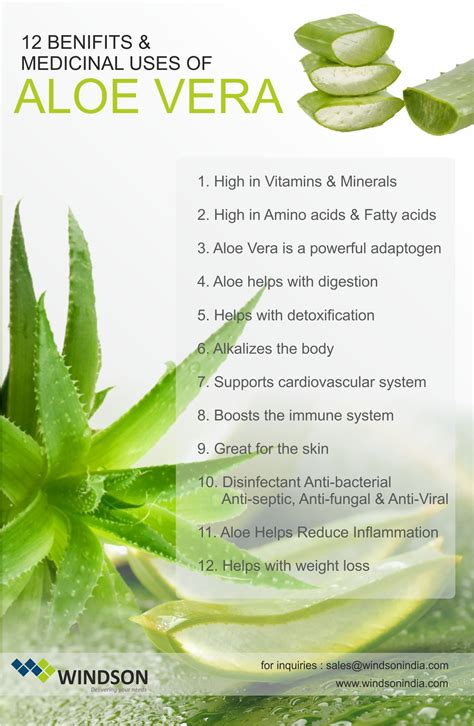 Are Aloe Supplements Safe