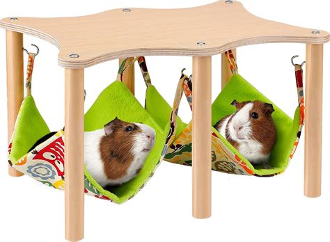 Are Amazon Boxes Safe For Guinea Pigs