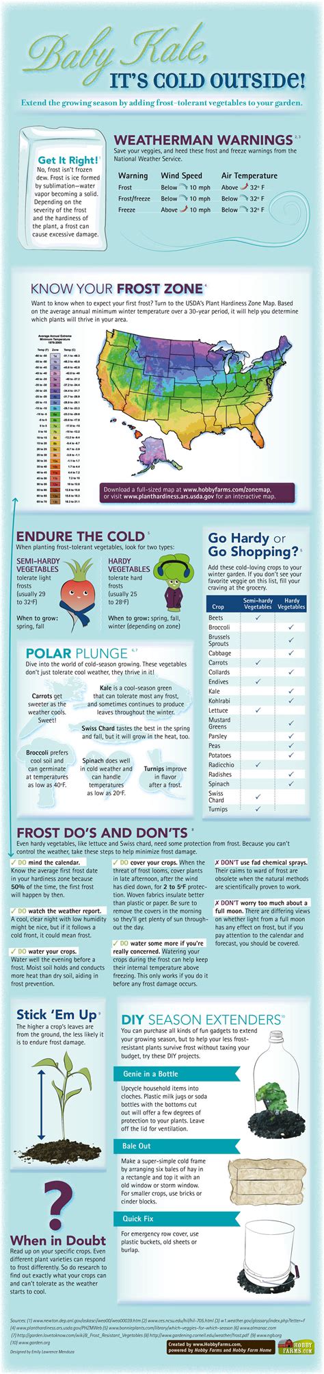 Are Beans Frost Tolerant