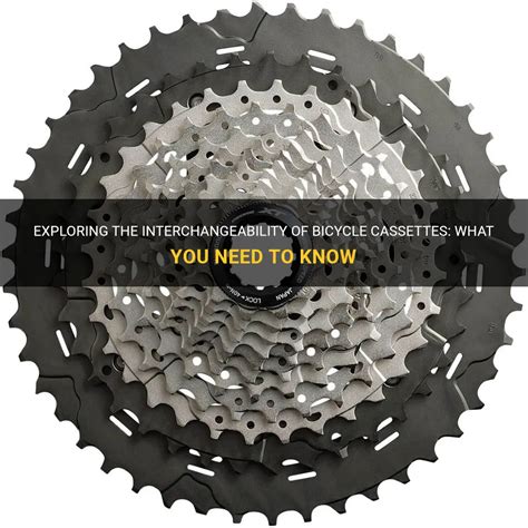Are Bicycle Cassettes Interchangeable