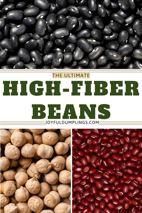 Are Black Beans Good Fiber