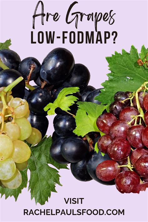 Are Black Grapes High Fodmap