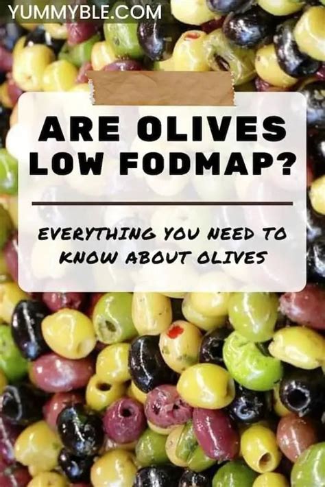 Are Black Olives Fodmap Friendly