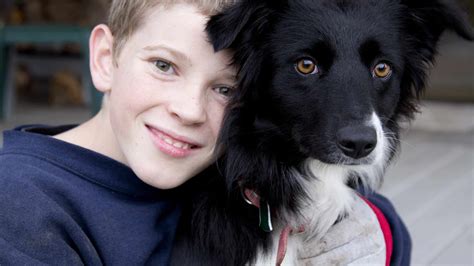are border collies good with children