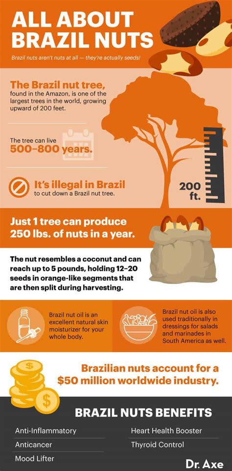 are brazil nuts dangerous