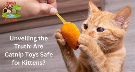 Are Catnip Toys Safe