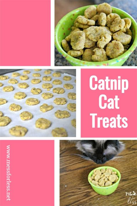 are catnip treats good for cats