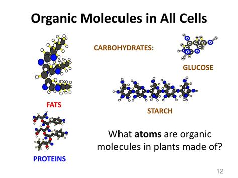 are cells made of molecules