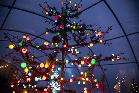 Are Christmas Tree Lights Flammable