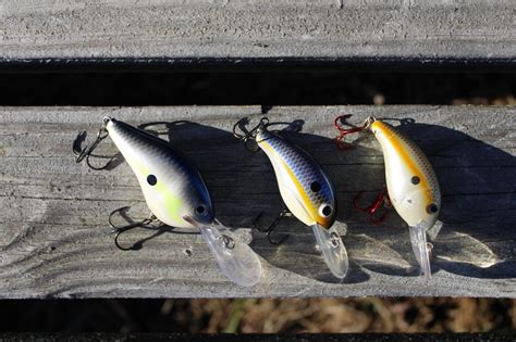 Are Crankbaits Supposed To Float