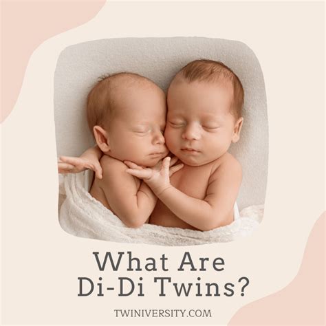 are didi twins identical