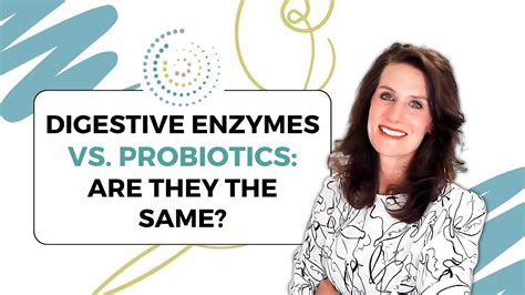 Are Digestive Enzymes And Prebiotics The Same Thing