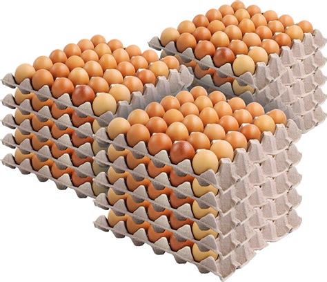 Are Egg Crates Recyclable