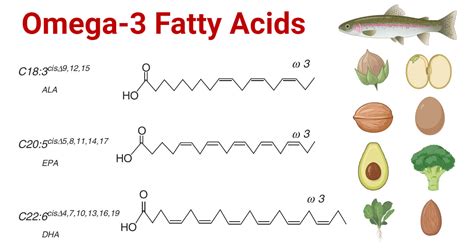 Are Fatty Acids Nutrients