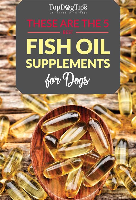 are fish oil capsules good for dogs