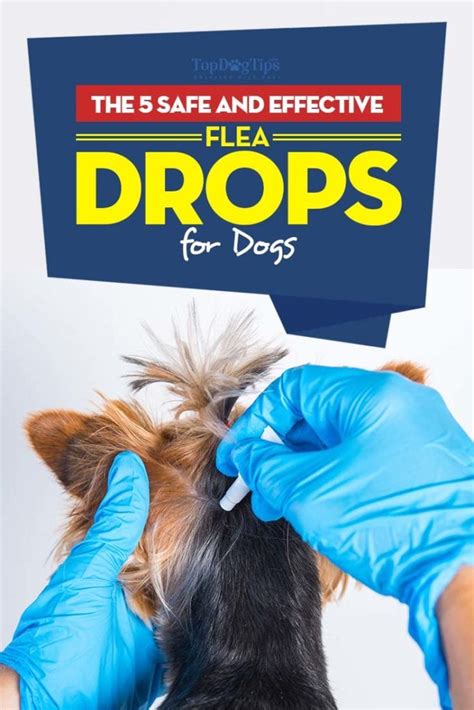 Are Flea Drops Effective