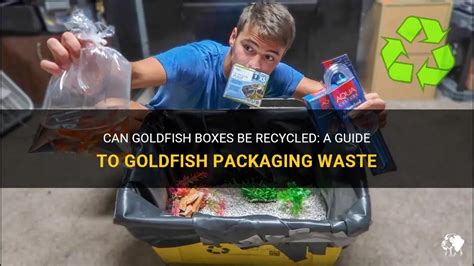 Are Goldfish Boxes Recyclable