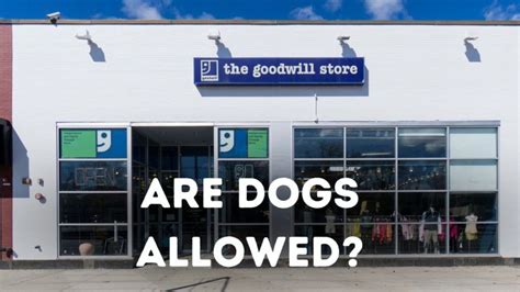 Are Goodwill Stores Dog Friendly