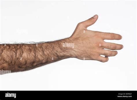 Are Hairy Arms Normal