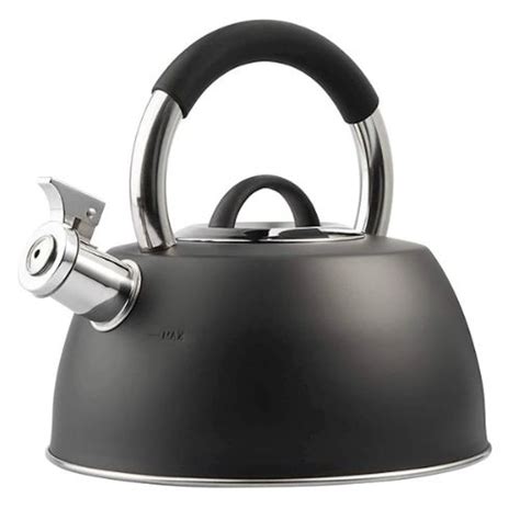 Are Induction Hob Kettles Efficient