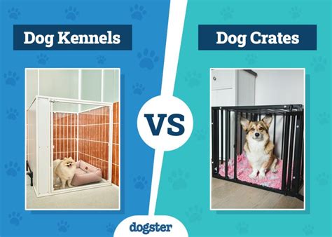 Are Kennels And Crates The Same