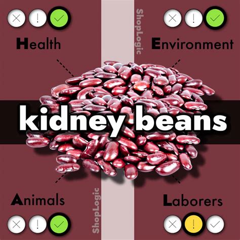 Are Kidney Beans Alkaline
