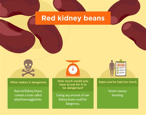 Are Kidney Beans Poisonous