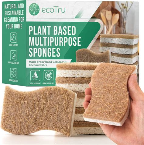 Are Kind Sponges Compostable