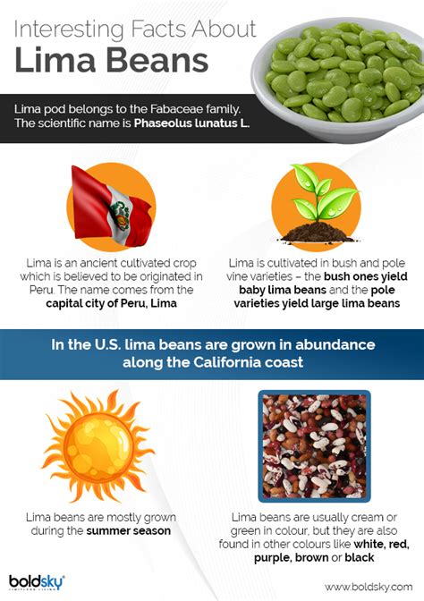 Are Lima.beans Healthy