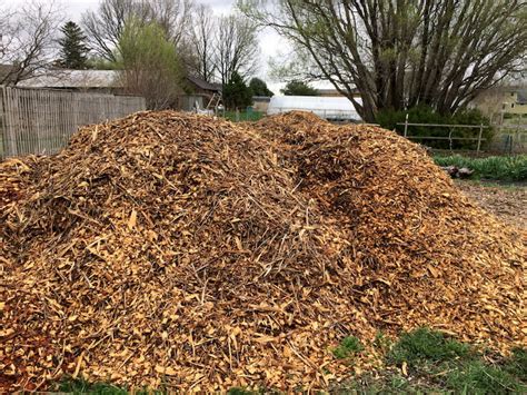are maple wood chips good for mulch