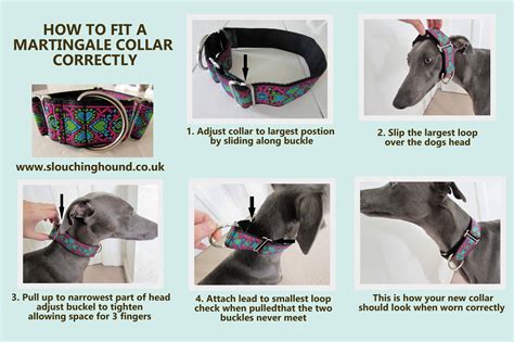 Are Martingale Collars Good For Pulling