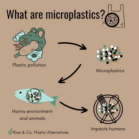 Are Microplastics In Everything
