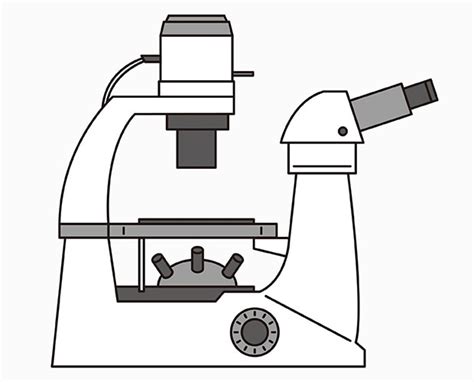 Are Microscopes Inverted