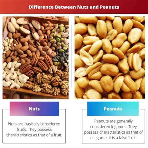 Are Nuts And Peanuts The Same