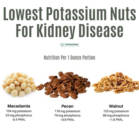 Are Nuts Bad For Your Kidneys