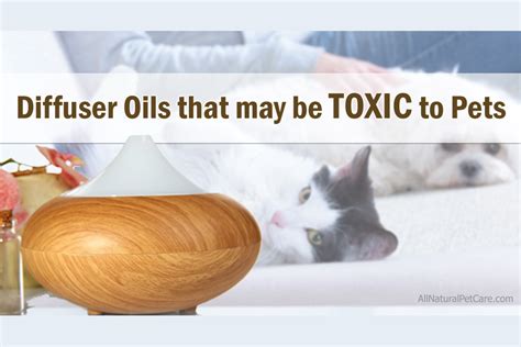 Are Oil Diffusers Bad For Animals