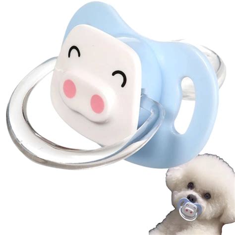 Are Pacifiers Good For Dogs