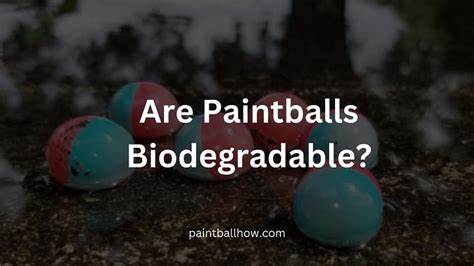 Are Paintball Shells Biodegradable
