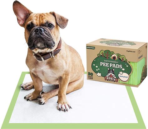 Are Pee Pads Biodegradable