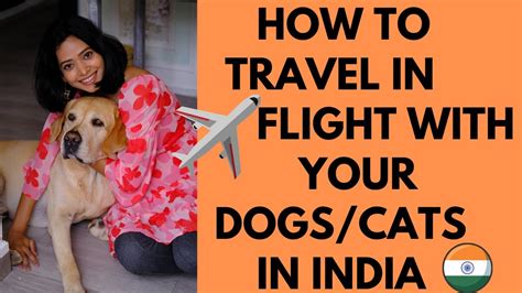 are pets allowed in flights in india