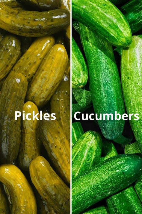 Are Pickles And Cucumbers The Same