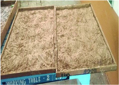 Are Pine Needles Good Insulation