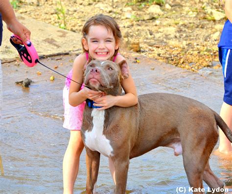 are pit bulls good with kids
