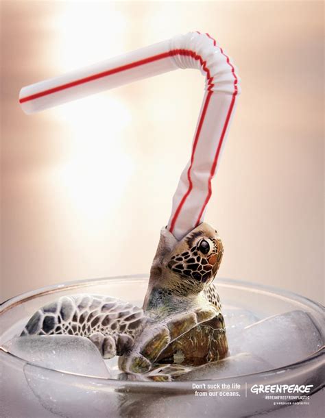 Are Plastic Straws Made From Turtles