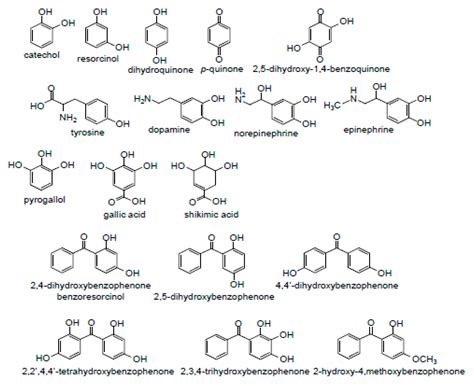 Are Quinones Polyphenols