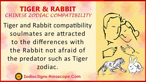 are rabbits and tigers compatible