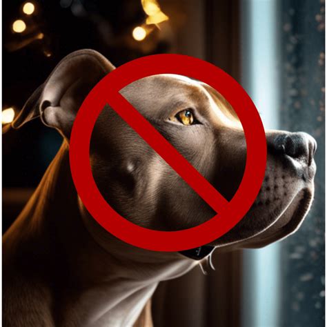 are red nose pitbulls illegal in victoria